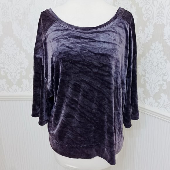We The Free Purple Velvet Crop Sweatshirt Short Sleeve Top Scoop Back Size Small - Picture 1 of 5